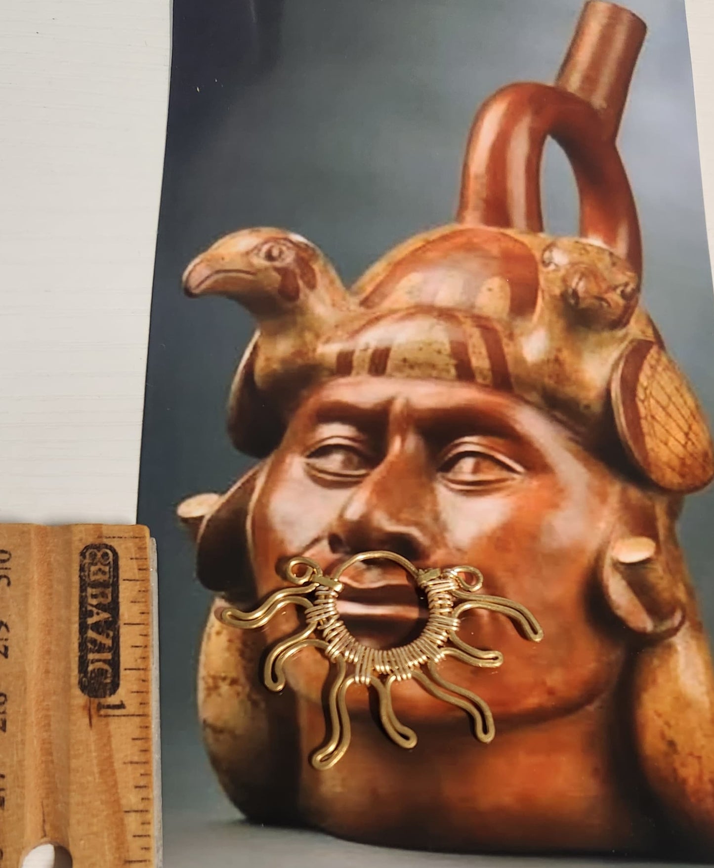 Inti Septum
