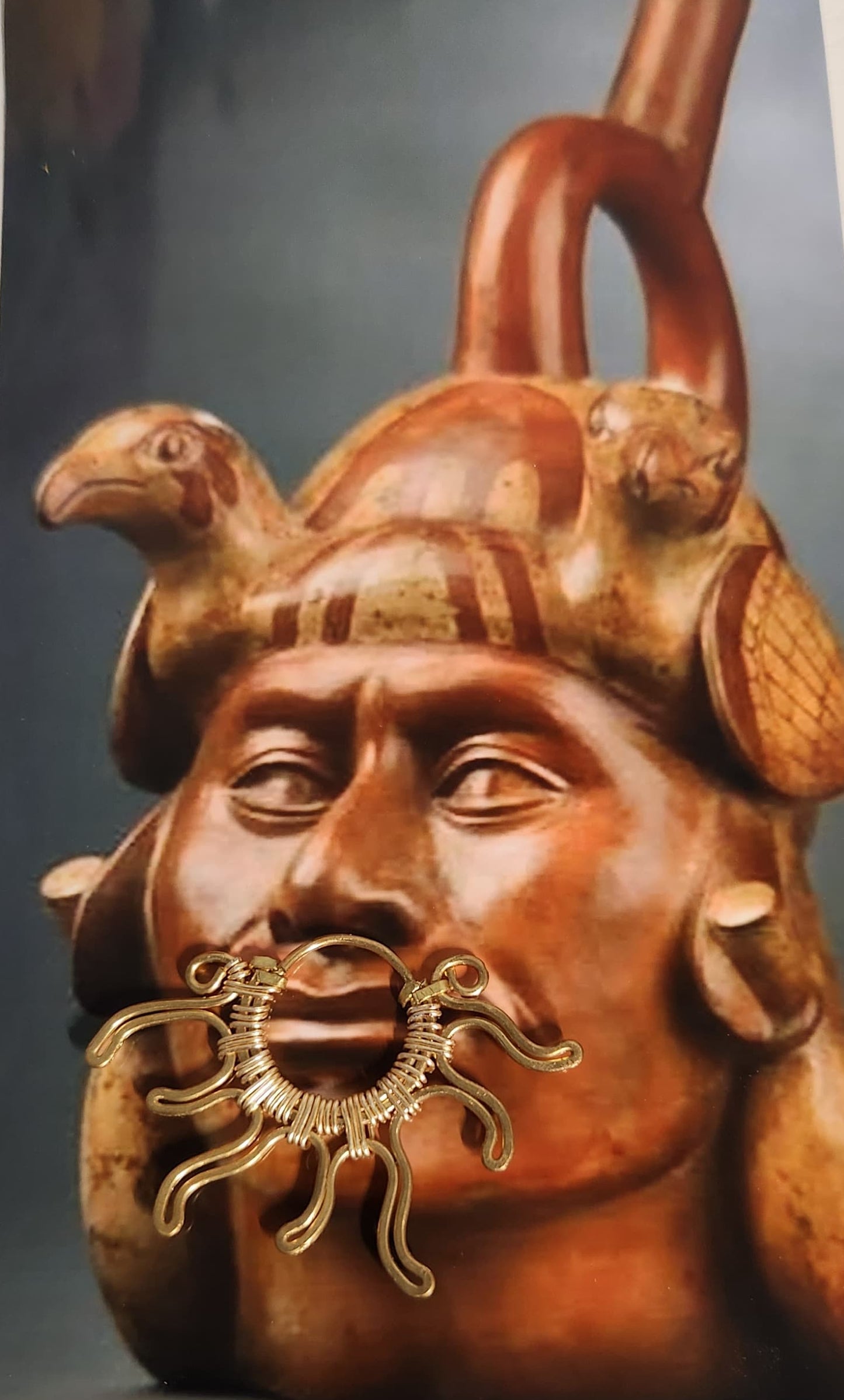 Inti Septum